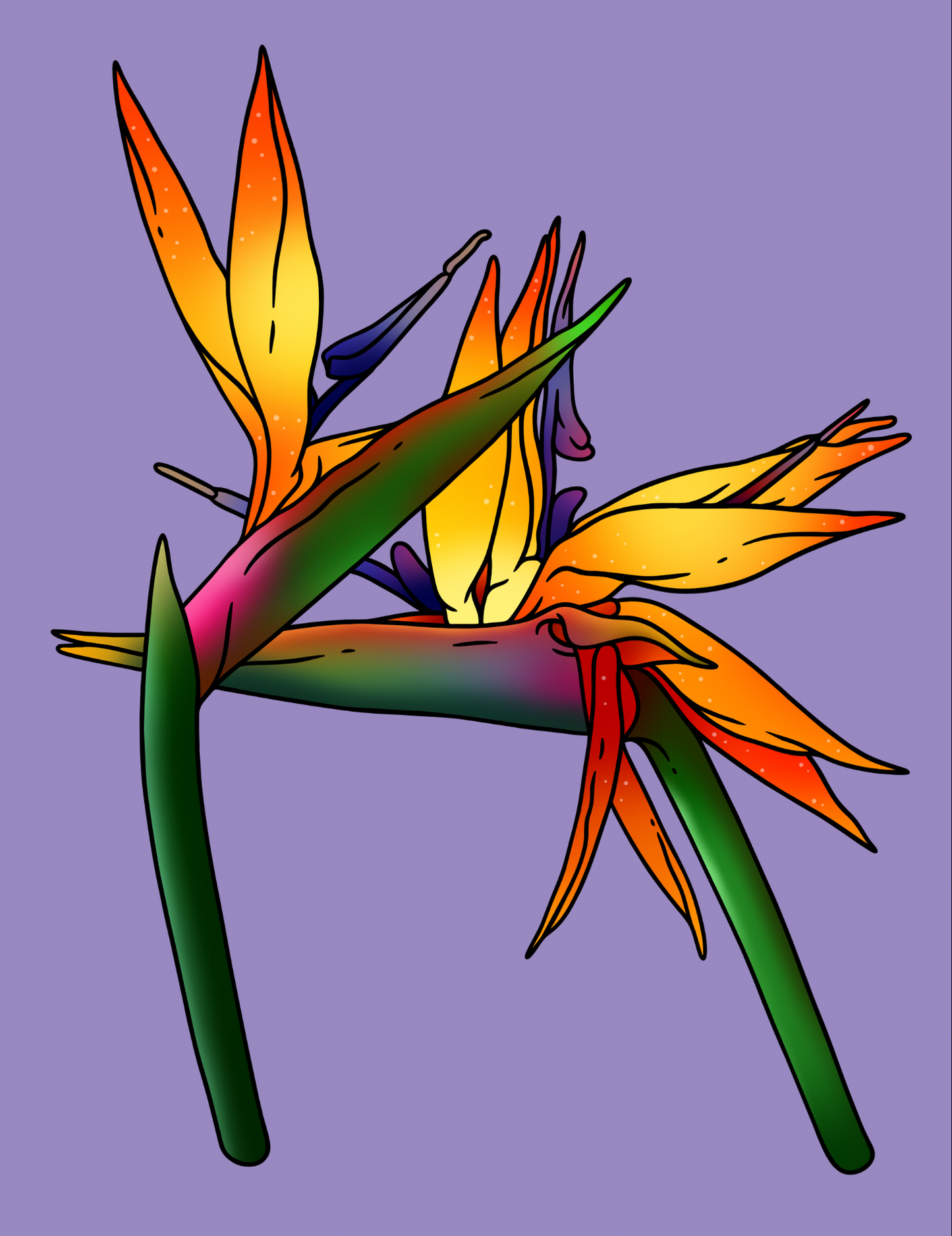 Birds of Paradise Purple